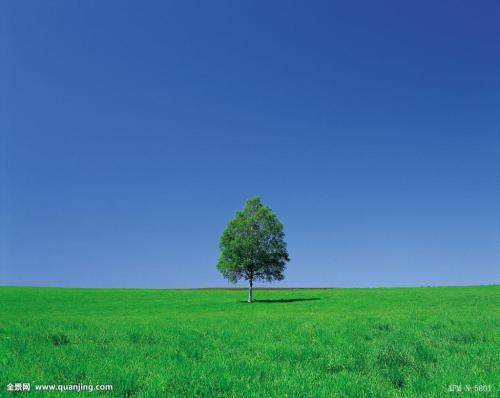 ںӹ2ȷ1֢״Ⱦг̹켣