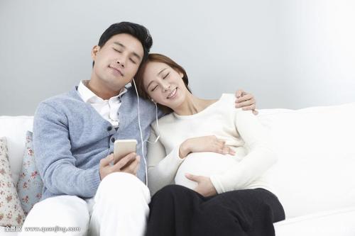 ƶ|ɽ׵طƶǨƶ˿ȫȶƶ